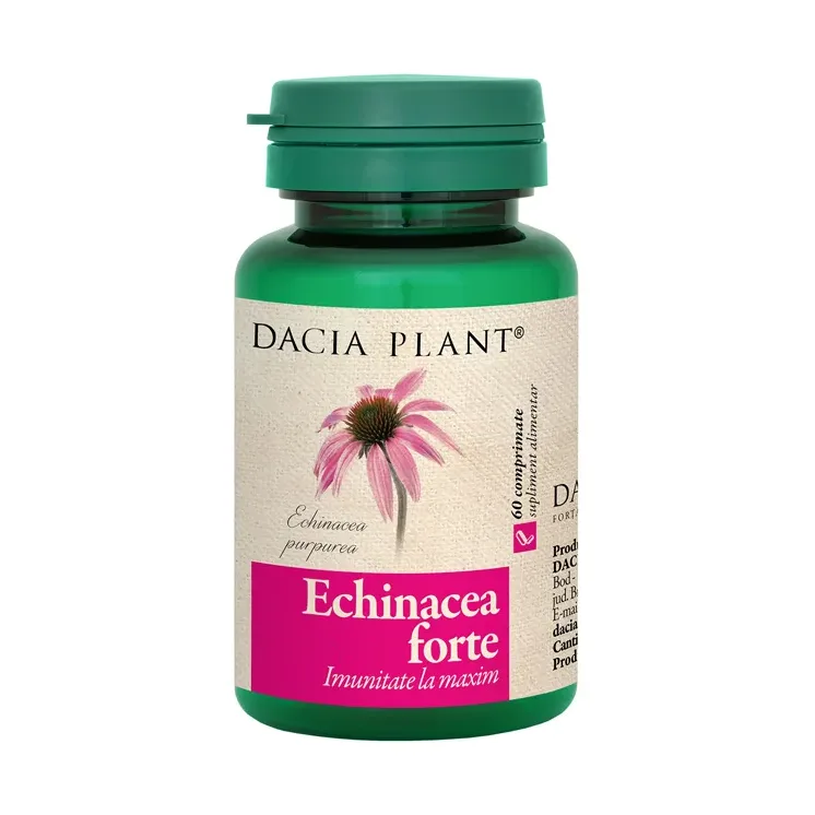 Echinacea forte - Dacia Plant