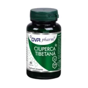 Ciuperca Tibetana - DVR Pharm