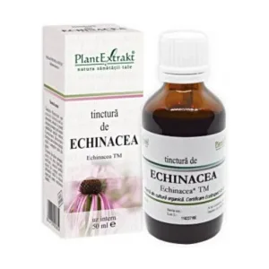 Tinctura de echinacea imunitate - Plant Extrakt