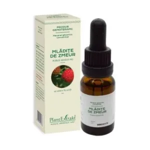 Extract concentrat din mladite de zmeur - Plant Extrakt
