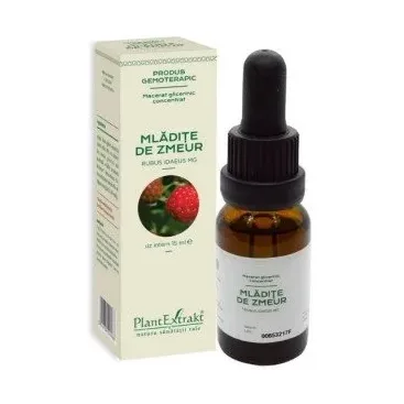 Extract concentrat din mladite de zmeur - Plant Extrakt