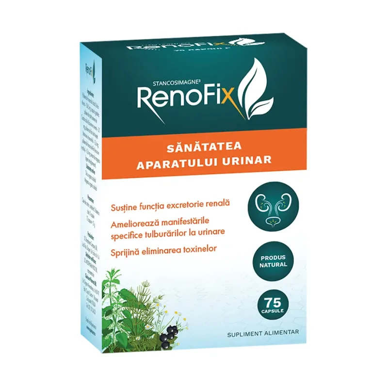 Renofix Stancosimagne - Queisser