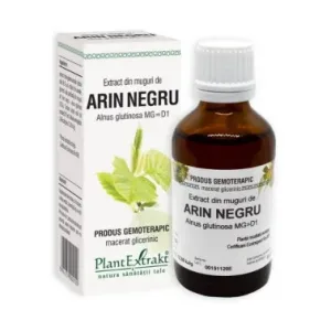 Muguri de arin negru - Plant Extrakt