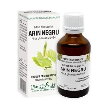 Muguri de arin negru - Plant Extrakt