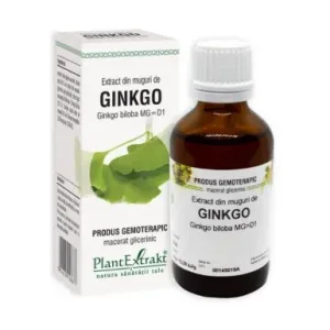 Extract din muguri de Ginkgo Biloba - Plant Extrakt