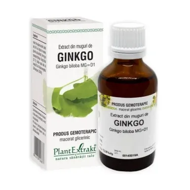 Extract din muguri de Ginkgo Biloba - Plant Extrakt