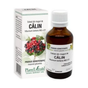 Extract din muguri de calin - Plant Extrakt
