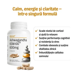 Ashwagandha KSM-66® 600mg - Alevia