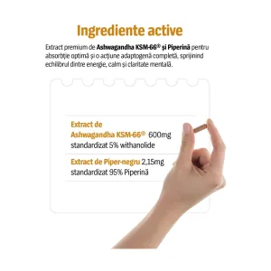 Ashwagandha KSM-66® 600mg - Alevia