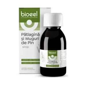 Sirop de Pătlagină și Muguri de Pin - Bioeel