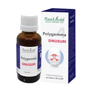 4 sinusuri - Polygemma