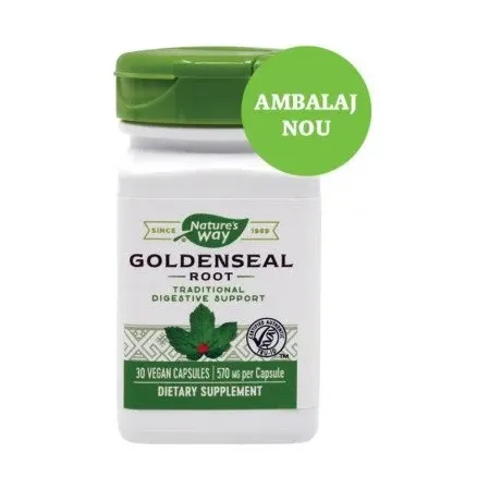 Goldenseal antibiotic natural - Secom