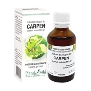 Extract din Muguri de Carpen - Plant Extrakt