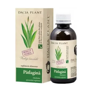 Sirop patlagina - Dacia Plant