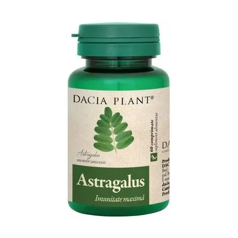 Astragalus - Dacia Plant