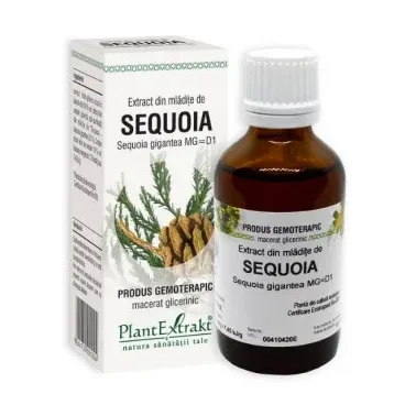 Extract din mladite de Sequoia - Plant Extrakt