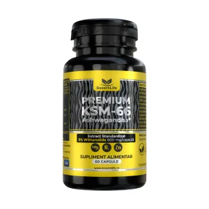 Ashwagandha Premium KSM-66 - Boost4Life