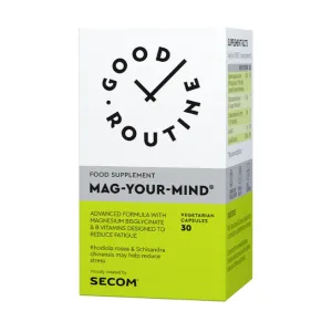 Magneziu bisglicinat Mag Your Mind Good Routine - Secom