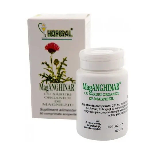 MagAnghinar - Hofigal
