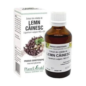 PLE Extract din Mladite lemn cainesc detoxifiere - Plant Extrakt