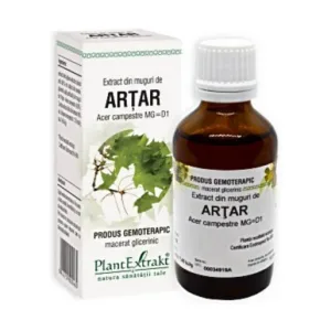 PLE Extract din Muguri de artar adjuvant sistem biliar - Plant Extrakt