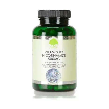 Vitamina B3 Nicotinamida 500 mg