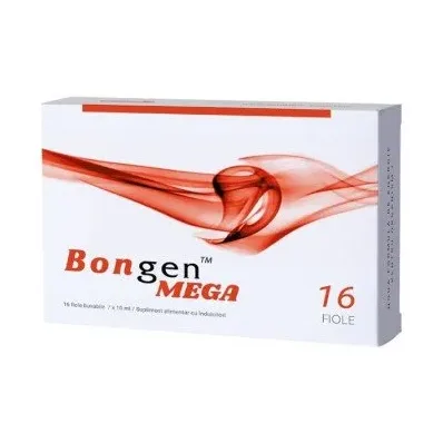 Mega - Bongen