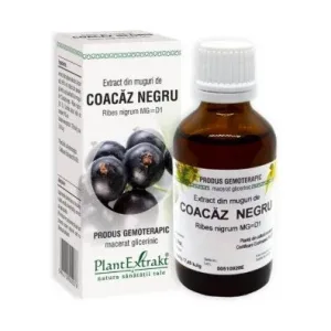 Extract din muguri de COACAZ NEGRU - Plant Extrakt