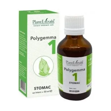 nr. 1 Stomac - Polygemma