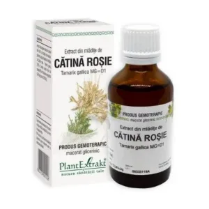 Extract din mladite de Catina rosie Tamarix gallica - Plant Extrakt