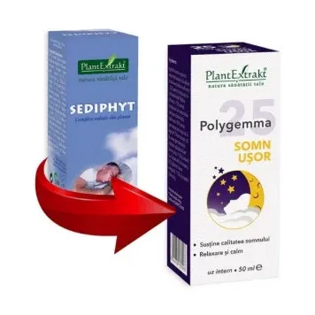 25 – Somn Usor - Polygemma