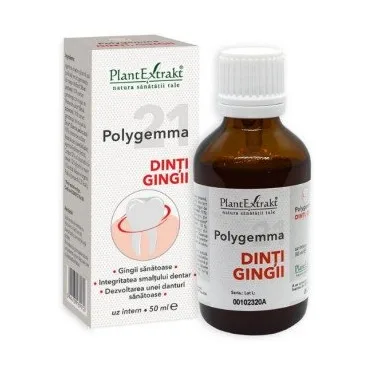 21 - Dinti gingii - Polygemma