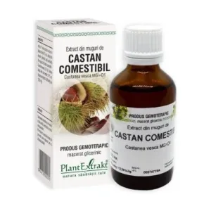Extract din muguri de CASTAN COMESTIBIL - Plant Extrakt