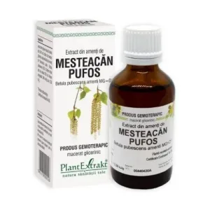 Extract din amenti de MESTEACAN PUFOS - Plant Extrakt