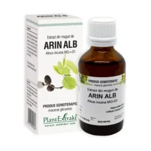 Extract din muguri de ARIN ALB - Plant Extrakt