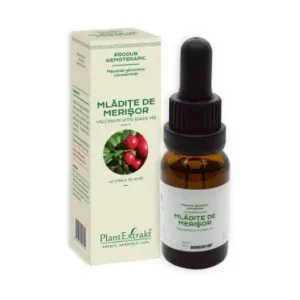 Extract Concentrat din mladite de MERISOR - Plant Extrakt