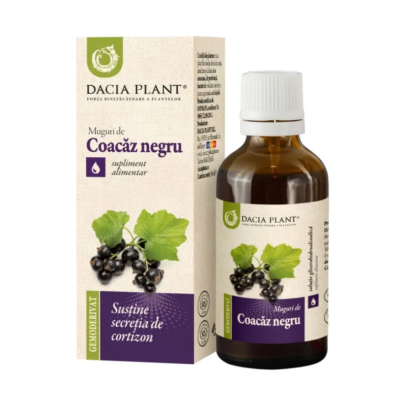 Coacaz Negru Gemoderivat - Dacia Plant