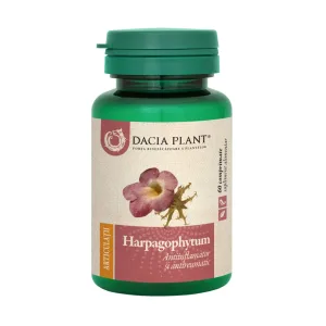 Harpagophytum - Dacia Plant