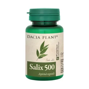 Salix - Dacia Plant