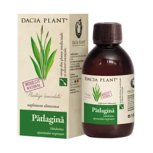 Patlagina sirop, extract concentrat, fara zahar - Dacia Plant