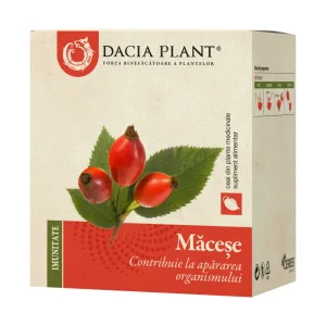 Macese ceai - Dacia Plant