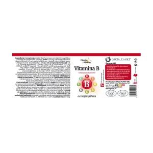 Vitamina B cu drojdie si polen - Vitamine si Minerale