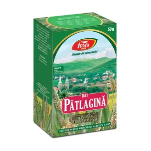 Pătlagină, frunze, R41, ceai la pungă - Fares